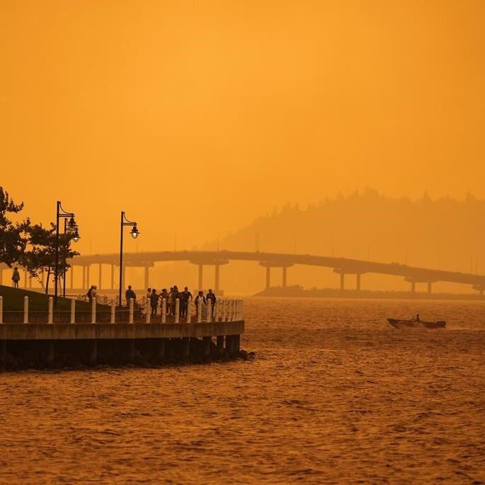 Wildfire smoke can damage the brain long after flames are extinguished, research says